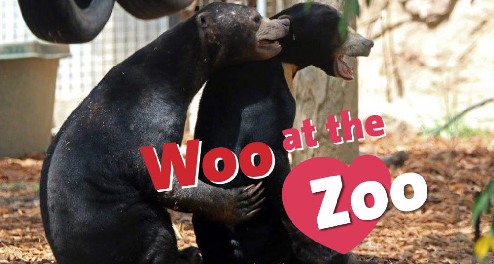 Woo at the Zoo