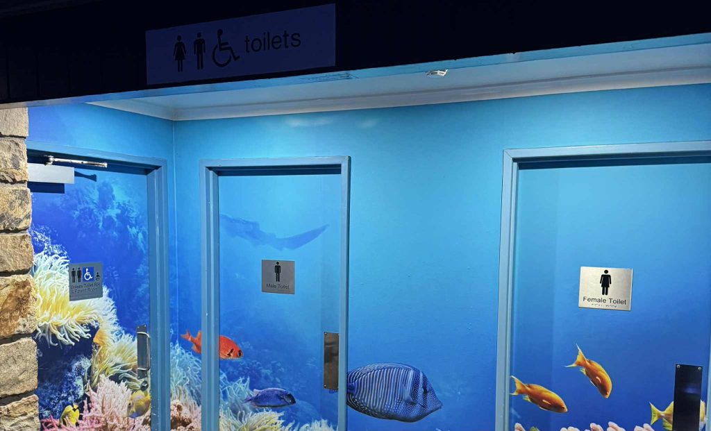 Accessible Toilets